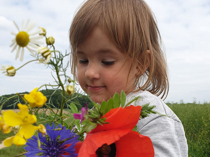 Wir entdecken Naturblumen und bestimmen sie.