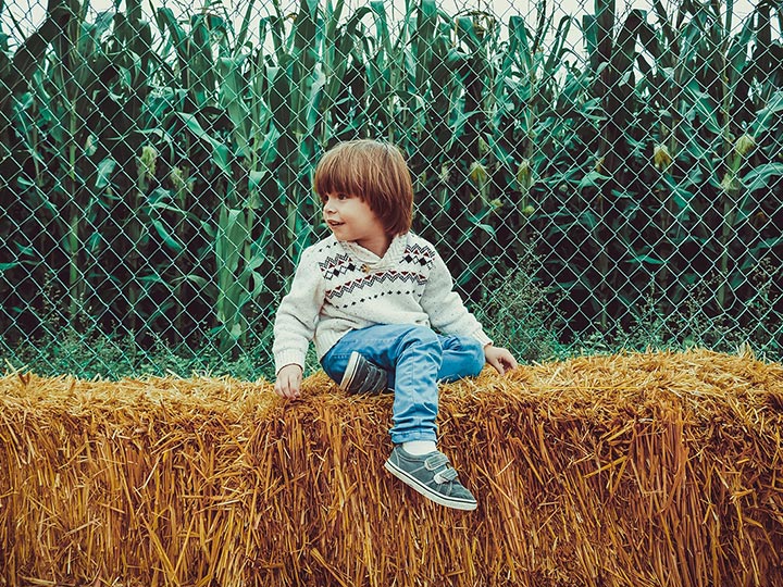 Erntedank – wir danken der Landwirtschaft für das leckere Gemüse aus dem Garten.