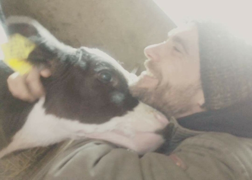 Unsere Tiere lieben Streicheleinheiten!