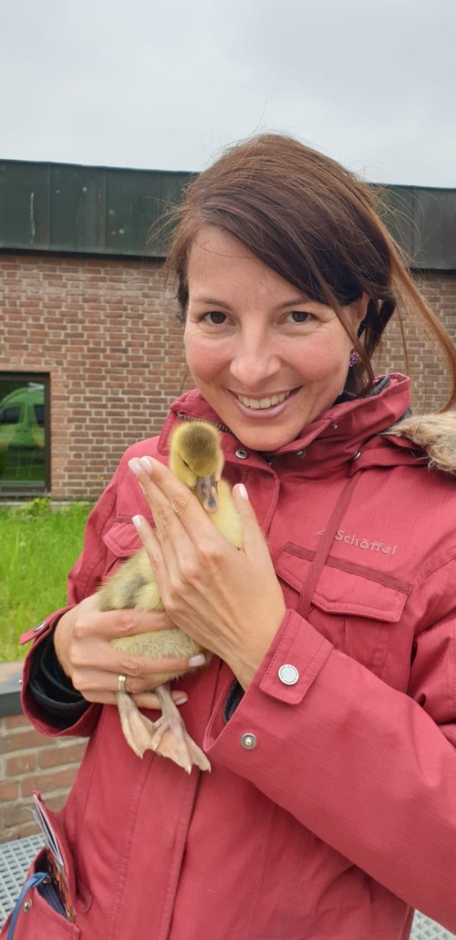 Bei uns gibt es tierisch viel zu erleben.