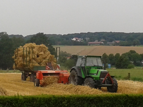 Aktive Landwirtschaft auf unserem Hof Uhlmann.