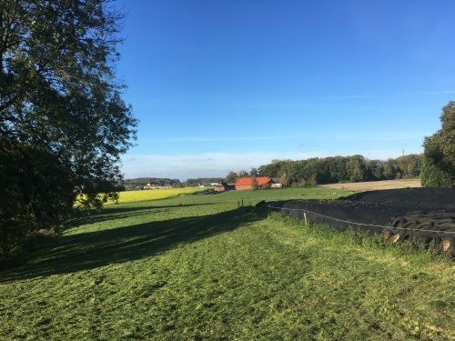 Das frisch gemähte Gras ist die Futtergrundlage für unsere Rinder.