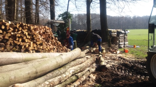 Für den Winter holen wir Holz aus unserem eigenen Wald.