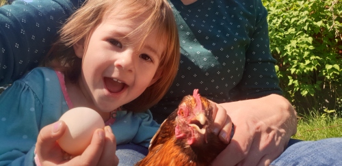 Was war zuerst da? Das Huhn oder das Ei?
