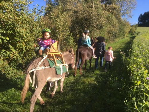 Wir machen uns auf den Weg in die Natur rund um unseren Hof Uhlmann.