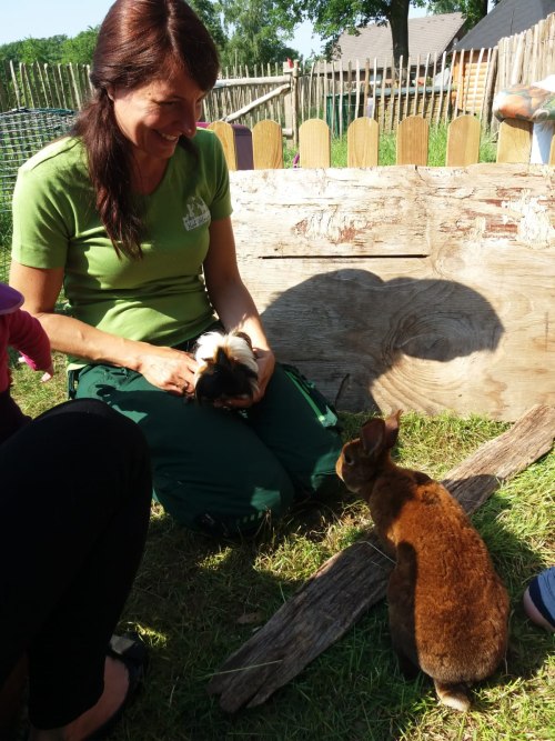 Tierisches Vergnügungen auf dem Hof Uhlmann.