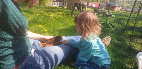 Wir lernen Rosalie, Henriette und Co. kennen.